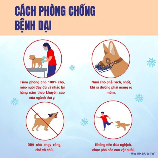 Phòng, chống bệnh Dại – Hành động nhỏ, ý nghĩa lớn