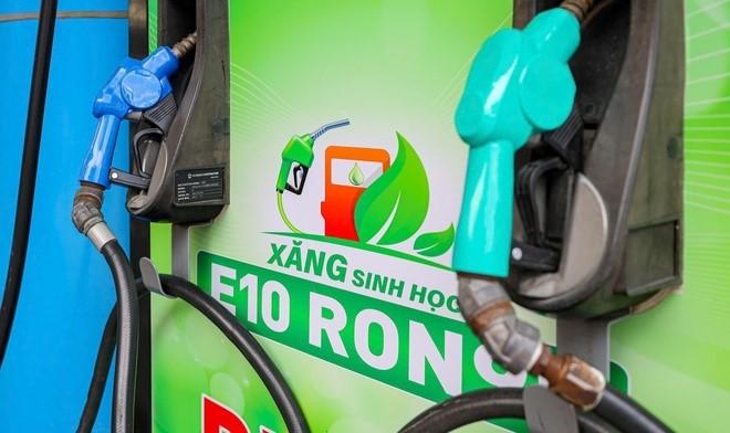 Thực hiện quy định về kiểm định cột đo xăng dầu khi chuyển đổi sang kinh doanh xăng E10 RON 95